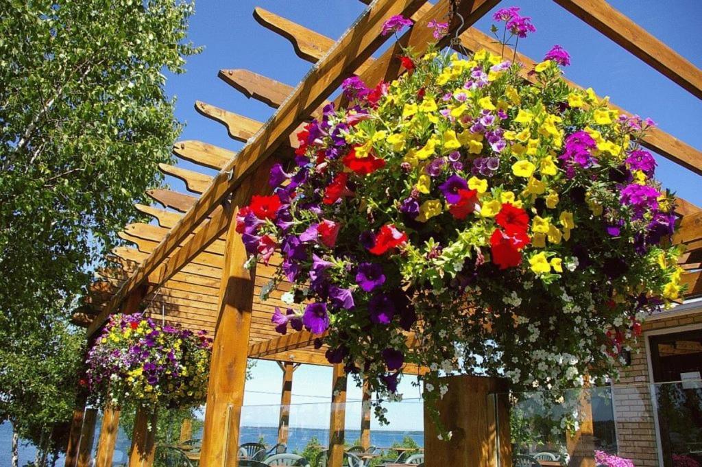 Grandview Motel Tobermory Kültér fotó